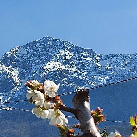 Villa Sole Colico Exteriör bild
